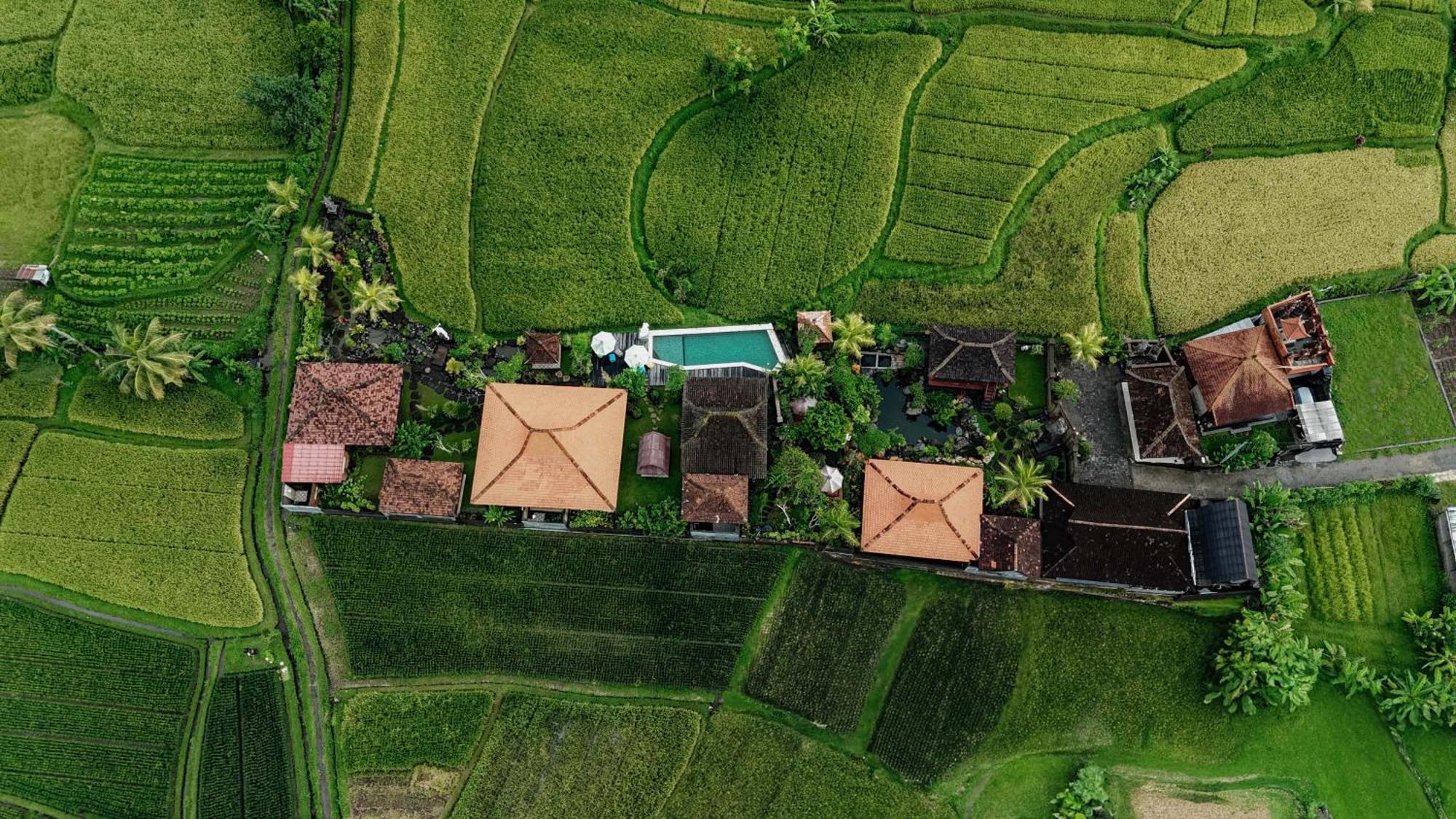 Billys Ayodya Villa Perean المظهر الخارجي الصورة